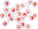animation-cellulaire-1
