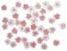 animation-cellulaire-9